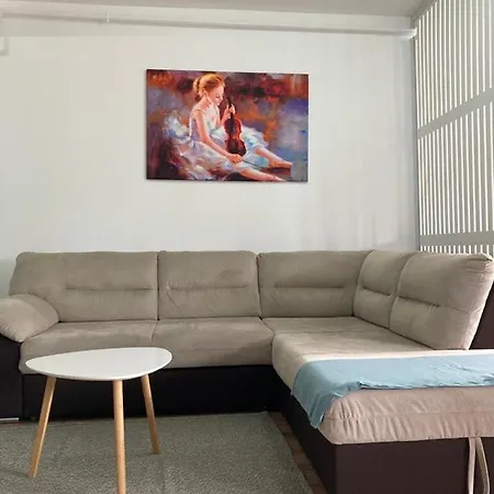 Best View Ap With Parking And 2 Bathrooms Sinaia Exterior photo