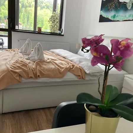 Best View Ap With Parking And 2 Bathrooms Sinaia Exterior photo