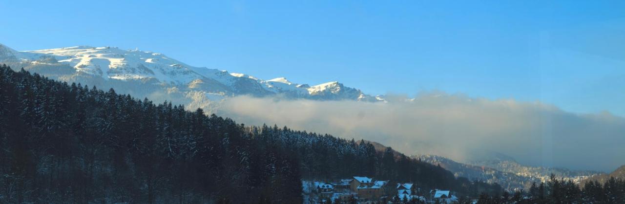 View Ap With Parking And 2 Bathrooms * Sinaia