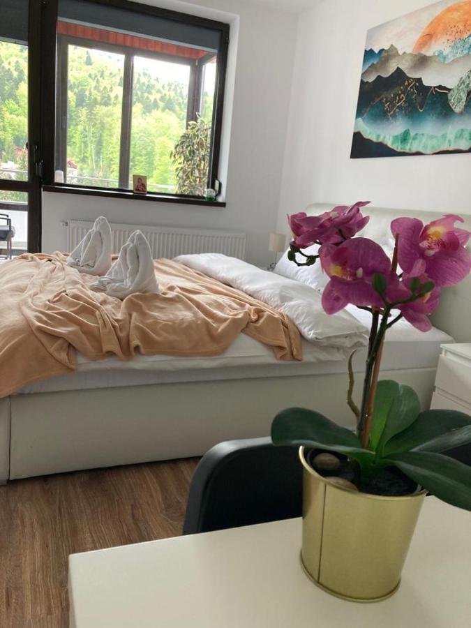View Ap With Parking And 2 Bathrooms Apartment Sinaia