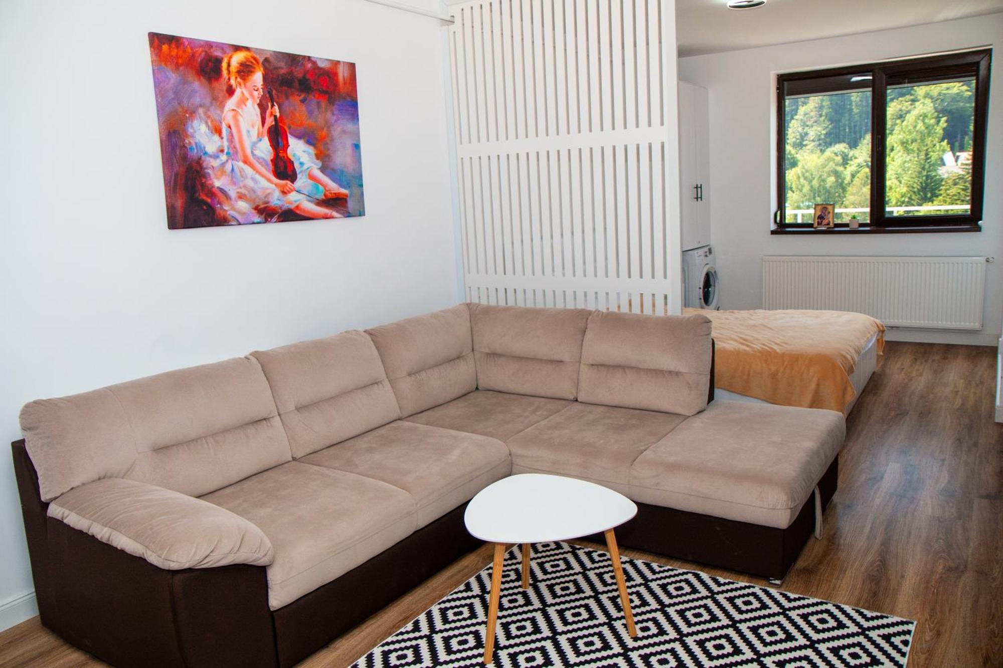 Appartement View Penthouse - Terrace - 2 Bathrooms - Free Parking Sinaia