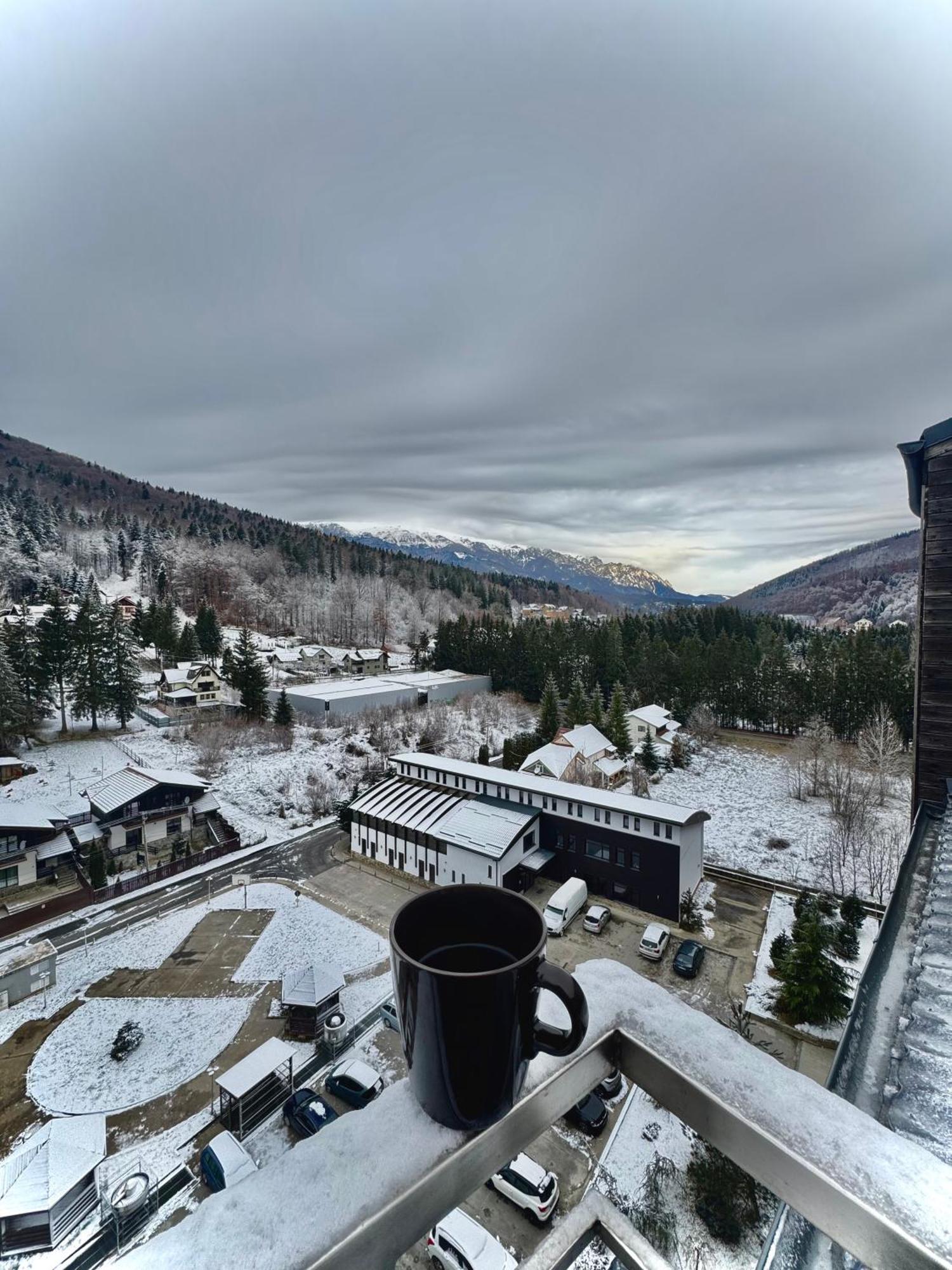 View Ap With Parking And 2 Bathrooms Apartment Sinaia